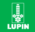 印度鲁宾Lupin制药