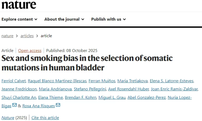 膀胱癌的生物学机制揭示：性别与吸烟如何影响突变选择