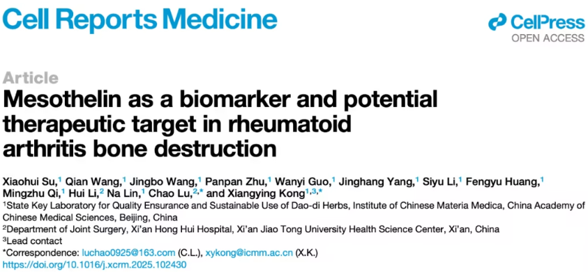 中国科研团队在《Cell Reports Medicine》发表重要成果：发现类风湿关节炎新型治疗靶点 MSLN