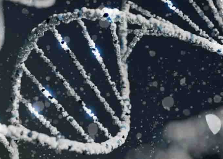惠和生物创新三特异性抗体CC312获FDA临床许可，开启自身免疫治疗新篇章