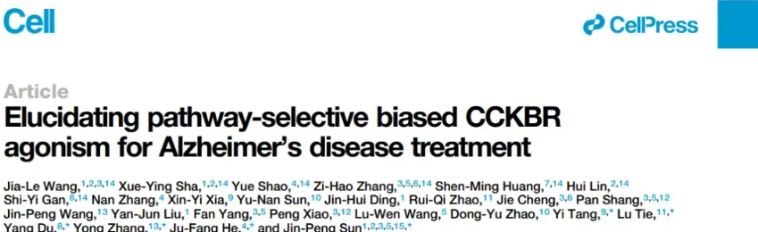 新靶点揭示阿尔茨海默病治疗新方向：CCKBR受体与偏向性激动剂3r1的突破性发现